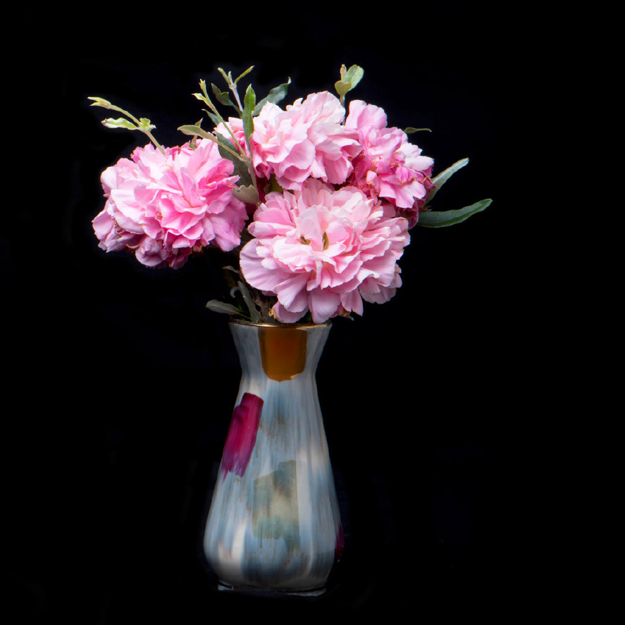 Carnation